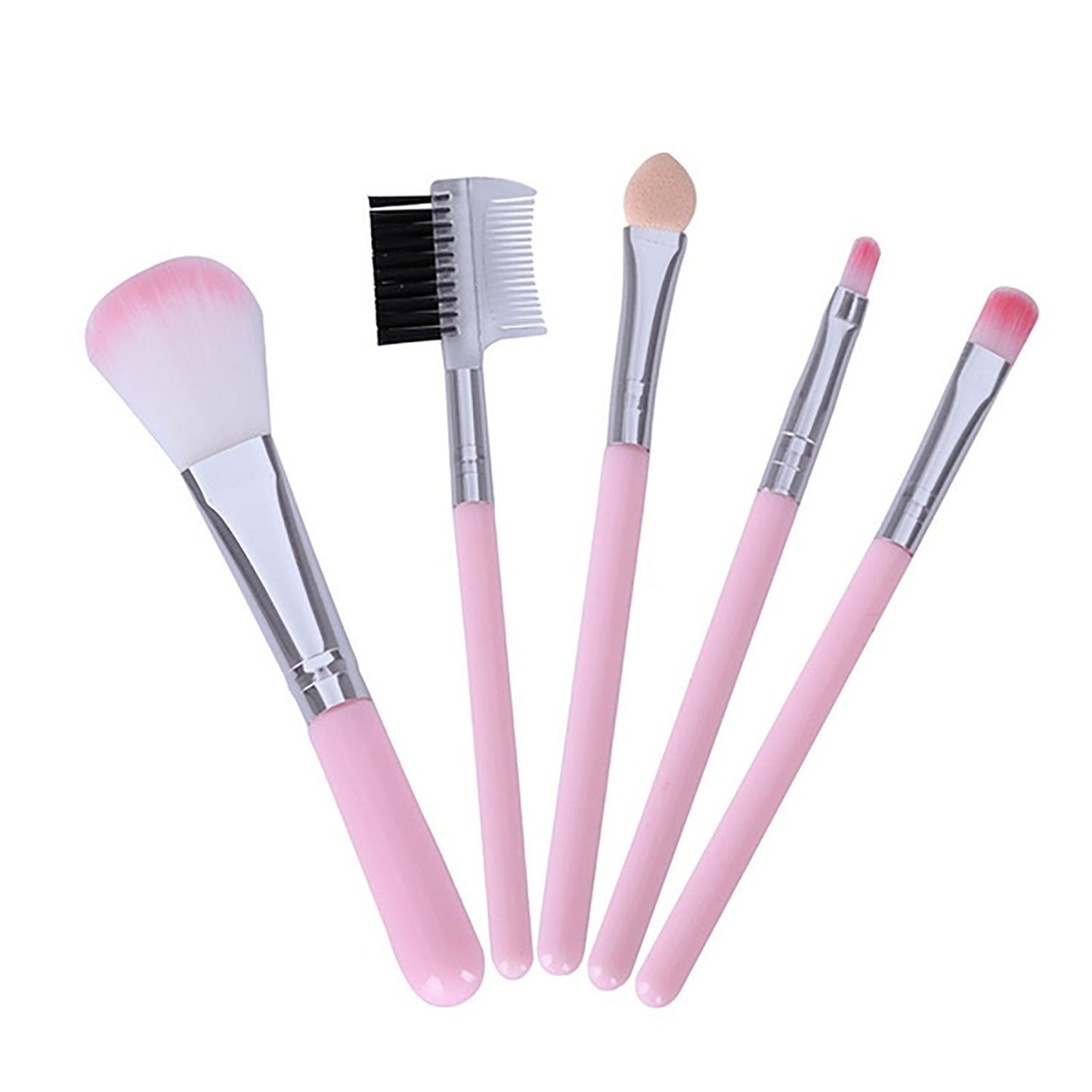 Makeup brushes kit with five brushes