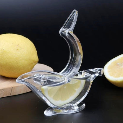 Handheld citrus juicer for lemons and limes